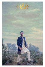 Load image into Gallery viewer, Sh Blue velvet
